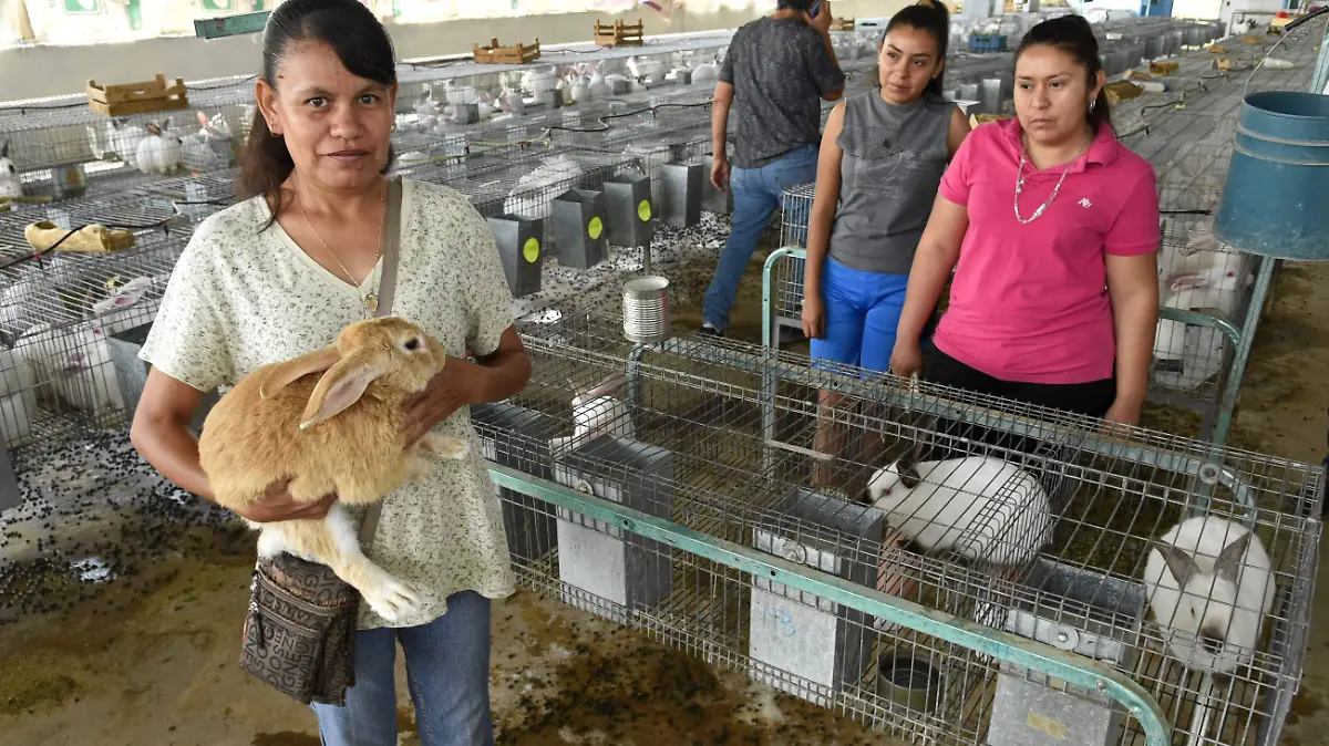 25 ENTREGAN ALIMENTO A MUJERES EMPRENDEDORAS PARA SU GRANJA DE CONEJOS